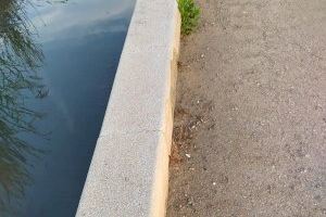 El PP de Nules pide garantizar la limpieza de los canales de riego sin dañar las estructuras
