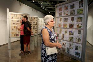 Nules acoge una exposición de filatelia con colecciones de la Comunitat Valenciana