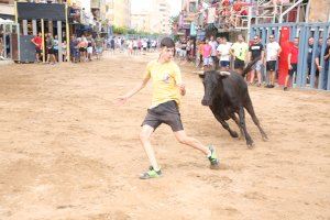 Vila-real vibra con la entrada de toros y vaquillas de la ganadería Capota