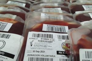 La Falla Barri La Vila de Burriana organiza una jornada de donación de sangre