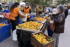 Castelló abre el plazo para participar en la Fira de la Taronja 2022-2023