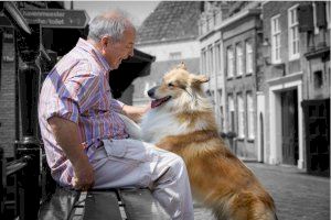 El vincle humà-animal: Beneficis per als pacients amb alzheimer i altres demències