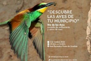 El domingo 2 de octubre, nueva jornada de anillamiento y censo de aves en Puntes de Gosalvez