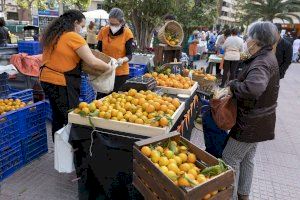 Castelló tindrà un mercat de productes locals el primer dissabte de cada mes