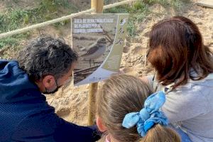 La Diputació y SEO/BirdLife ponen en marcha un proyecto para mejorar el hábitat del chorlitejo patinegro