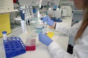 La Comunitat Valenciana tiene en marcha 204 proyectos de investigación y casi mil ensayos contra el cáncer