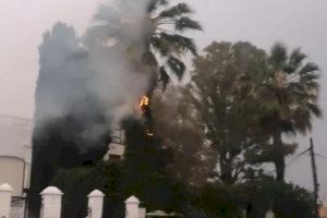 Un rayo incendia una palmera en la zona marítima de Burriana