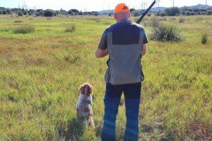 Els caçadors valencians denuncien “la falta de credibilitat” de les dades de gossos de caça abandonats