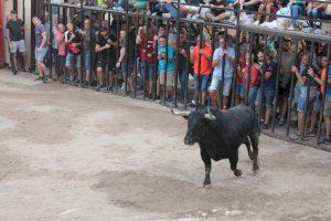 El recinto taurino de Almenara se llena para los primeros toros de las fiestas patronales