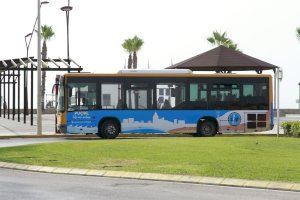 Autobús municipal y caminos escolares, propuestas para una vida más saludable