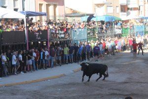 Almenara reprén els actes taurins de les festes patronals