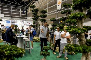 Feria Valencia acoge la próxima semana cinco ferias del ‘sector verde’ con más de 650 firmas expositoras