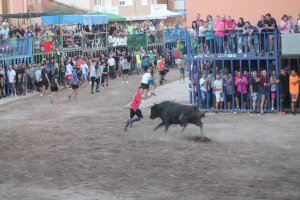 Els bous de l'ACT Los Armónicos centren les activitats festives a Almenara