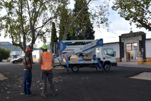 Xàtiva inicia los trabajos de poda y revisión del arbolado en diferentes puntos de la ciudad