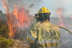 Los Bomberos Forestales de la Generalitat premiados por un colegio valenciano por defender la Sierra Calderona en el incendio de Bejís