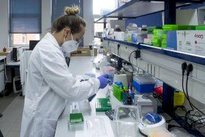 El CSIC debatirá en València el control de posibles nuevas epidemias