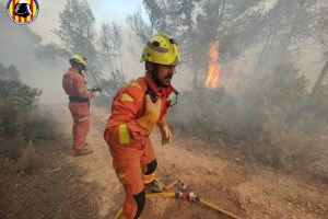 Los bomberos de Valencia han apagado casi 3.000 incendios de vegetación en 2022