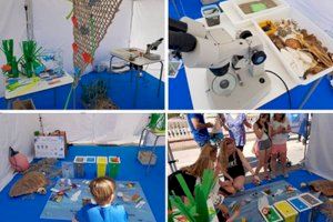 L’Ajuntament de Dénia organitza una jornada lúdica-educativa per a fomentar el respecte al medi marí