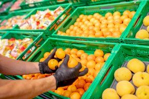 Mercadona confía en la mandarina Oronules para comenzar la campaña de cítricos españoles