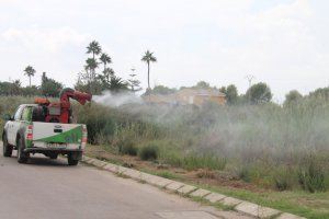Benicàssim reforça els tractaments contra mosquits davant les pluges previstes