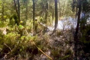 Los bomberos dan por estabilizado el incendio forestal en Montanejos