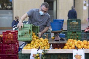Vuelve cada domingo la Feria de la Naranja de Castelló de la Plana