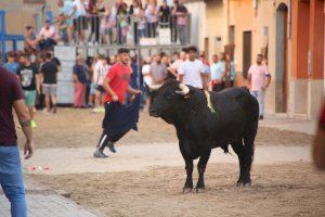 Tornen els ‘bous al carrer’ per les festes de l'Axiamo