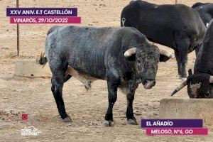 Dos desafíos ganaderos de primera división, este fin de semana en Vinaròs