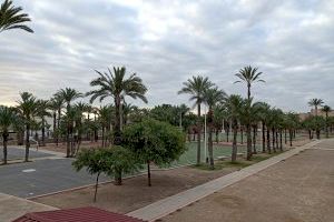 CONTIGO Elche propone abrir los patios de los colegios por las tardes como espacios recreativos