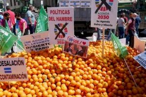VOX Alicante se une a Buxadé para denunciar a la UE por su "indecente" y "burlona" concesión de 120 millones a la agricultura marroquí