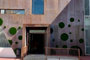 El CEIP San Juan de Ribera ya cuenta con su jardín vertical elaborado por el alumnado de jardinería del Taller de Empleo Agenda 2030