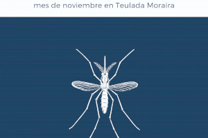 Actuaciones de control de plagas durante el mes de noviembre en Teulada Moraira