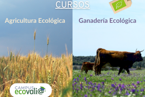 Ecovalia lanza dos cursos sobre agricultura y ganadería ecológicas