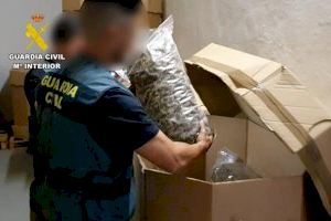 Cau una banda que guardava a València parteix de 32 tones de marihuana confiscades a Espanya