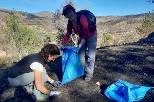 Recollida de 'basuraleza' a Begís: més de 150 voluntaris netegen la zona afectada per l'incendi