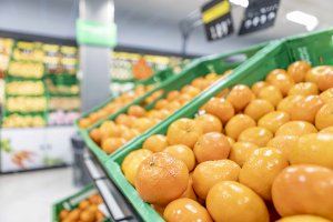 Mercadona comprarà 200.000 tones de taronges i mandarines espanyoles