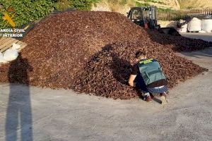 Investigan a 17 personas en la provincia de Alicante por robar varias toneladas de algarroba