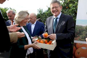 Ximo Puig anuncia una campaña para que España coma más naranjas