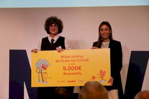 Accesscity, Voramar Fanplastic i Súper Abuelos en el Mundo, les millors startups de la 6ª edició de l'acceleradora Col·lab