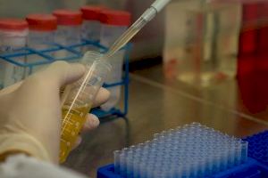 Fundación Bancaja promueve la investigación biotecnológica en la Comunitat Valenciana a través de un programa de ayudas
