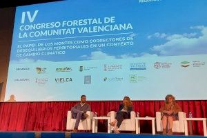 La Diputació aporta sus políticas de desarrollo rural en un congreso sobre el papel de los montes ante el cambio climático