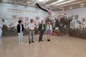 El Hondo acoge una exposición sobre la vida e importancia de las aves