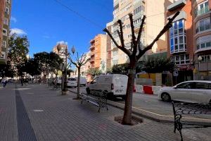 Villena trasplantará varios árboles de la Avenida de la Constitución a otras zonas de la ciudad