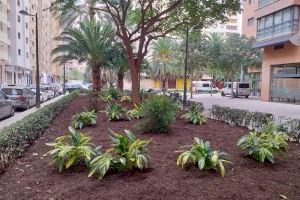 El Ayuntamiento de València poda más de 6.500 árboles durante el segundo mes de la nueva contrata de jardinería sostenible