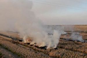 Compromís se felicita de la eliminación en la ley de la prohibición de quemas de restos agrícolas