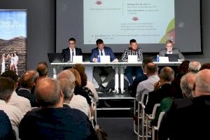 Los Consejos Reguladores Vitivinícolas españoles reclaman estabilidad normativa y consideración por el sector