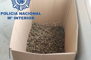Tres detenidos al descubrirse un secadero de marihuana en Alzira