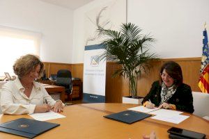 La Universidad de Alicante y Vithas sellan un acuerdo para las prácticas del alumnado de Medicina