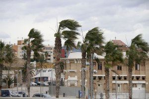 Alerta amarilla por fuertes rachas de viento en la Comunitat Valenciana