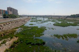 Ribó sigue firme en la idea de renaturalizar el nuevo cauce del río Turia